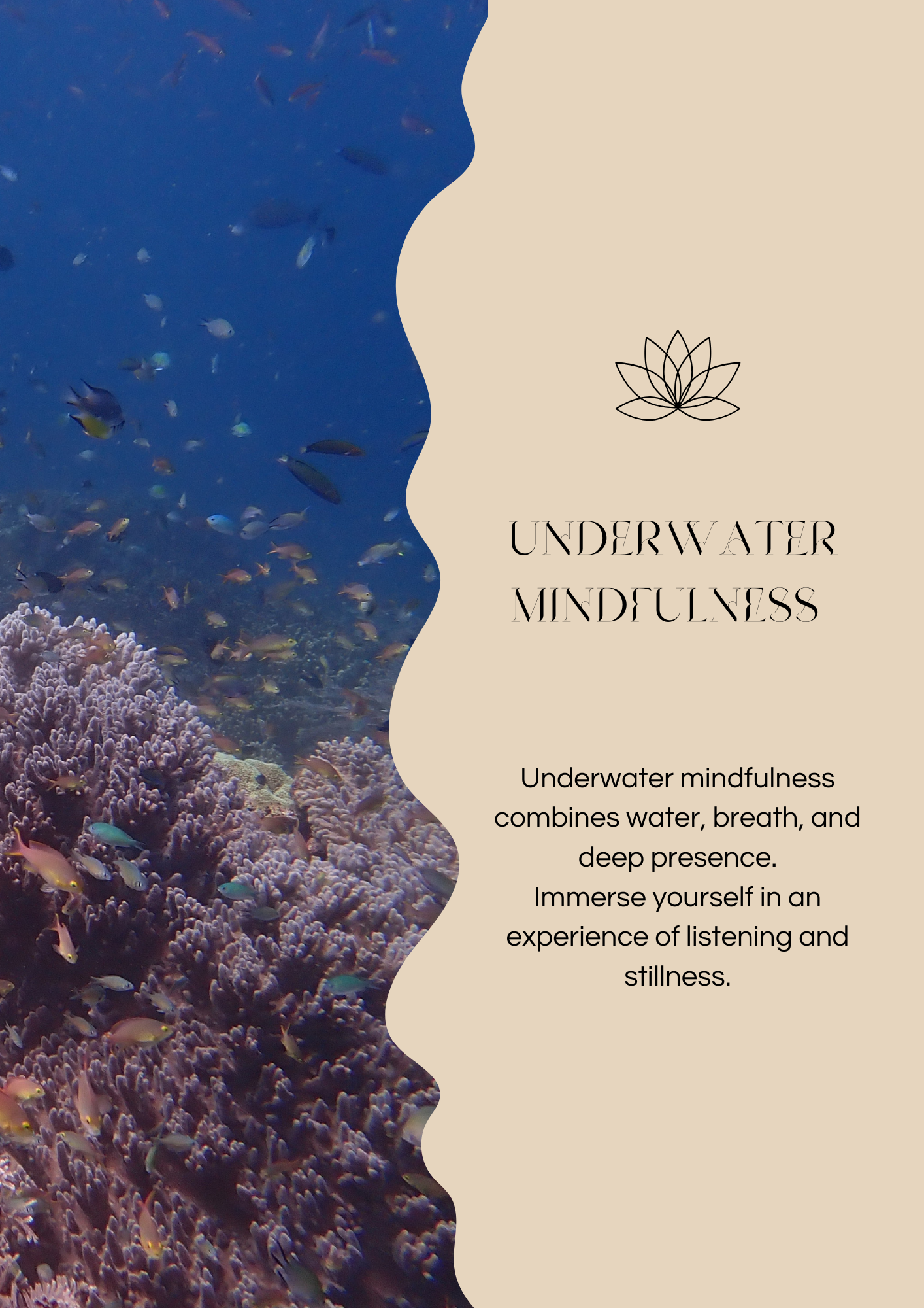 Underwater Mindfulness Flyer